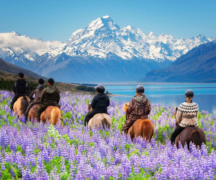 New Zealand Permanent Visa