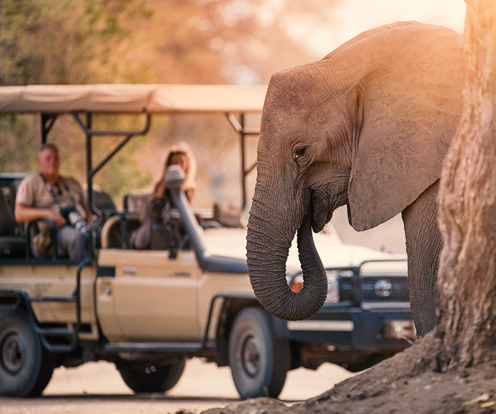 Zimbabwe Tourist Visa